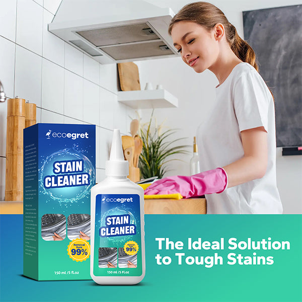 EcoClean Mold Stain Eliminator Gel