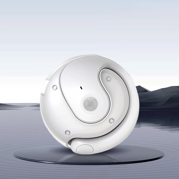 TranslateTech T900 Wireless Translating Earbuds